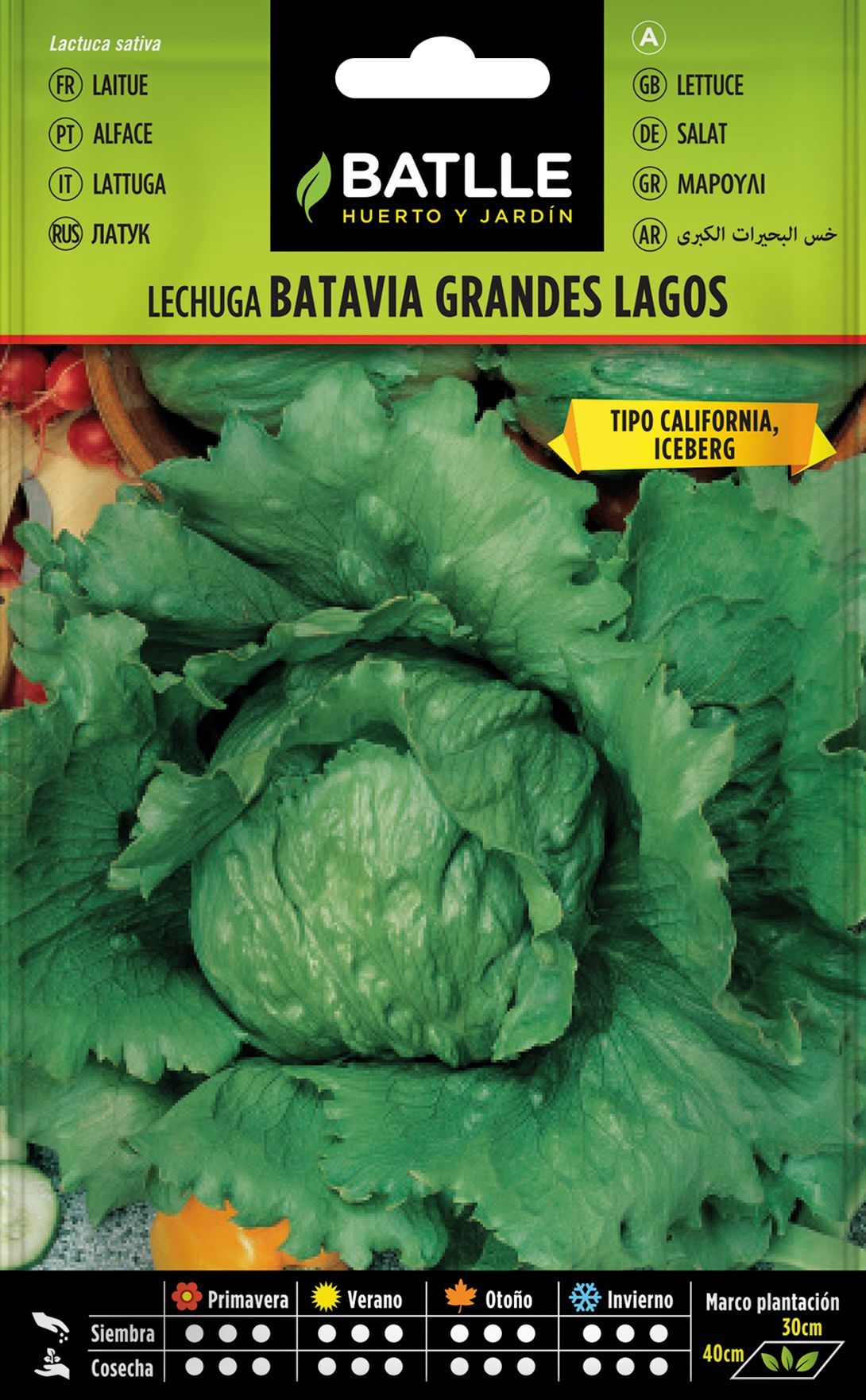 Semilla hortícola de lechuga iceberg grandes lagos, alface