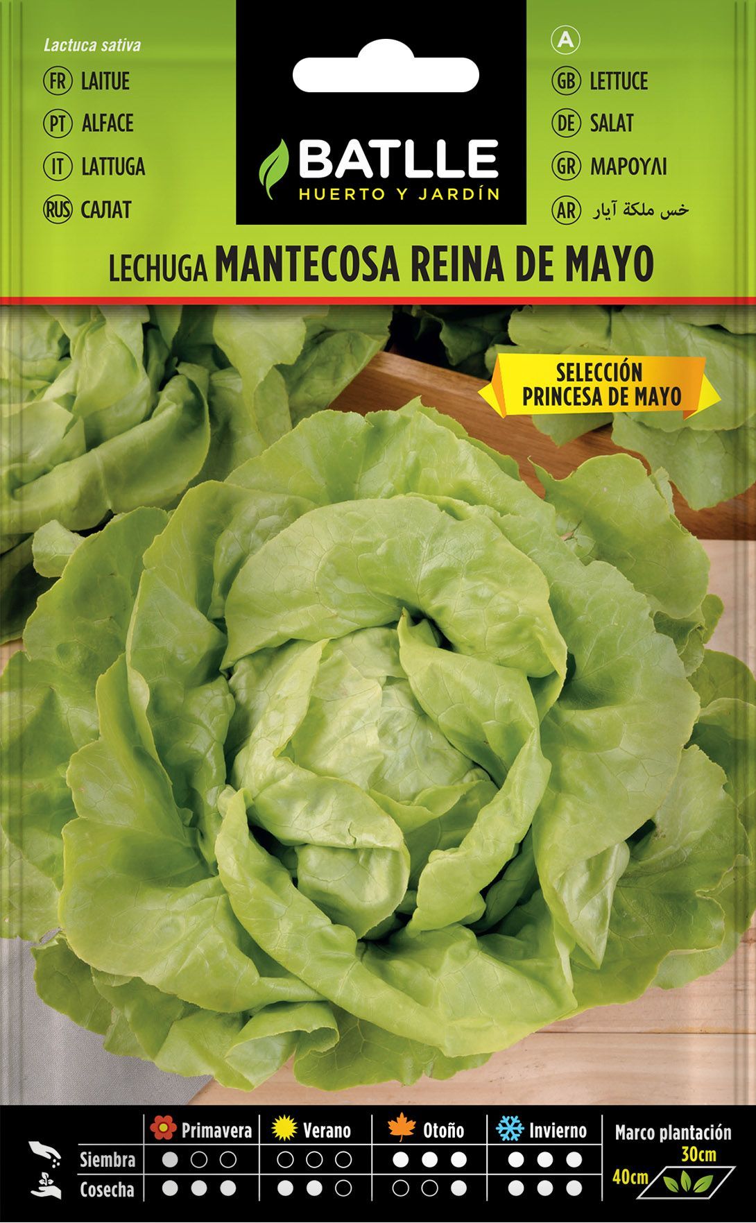 Semilla hortícola de lechuga reina de mayo sel. princesa de mayo, alface