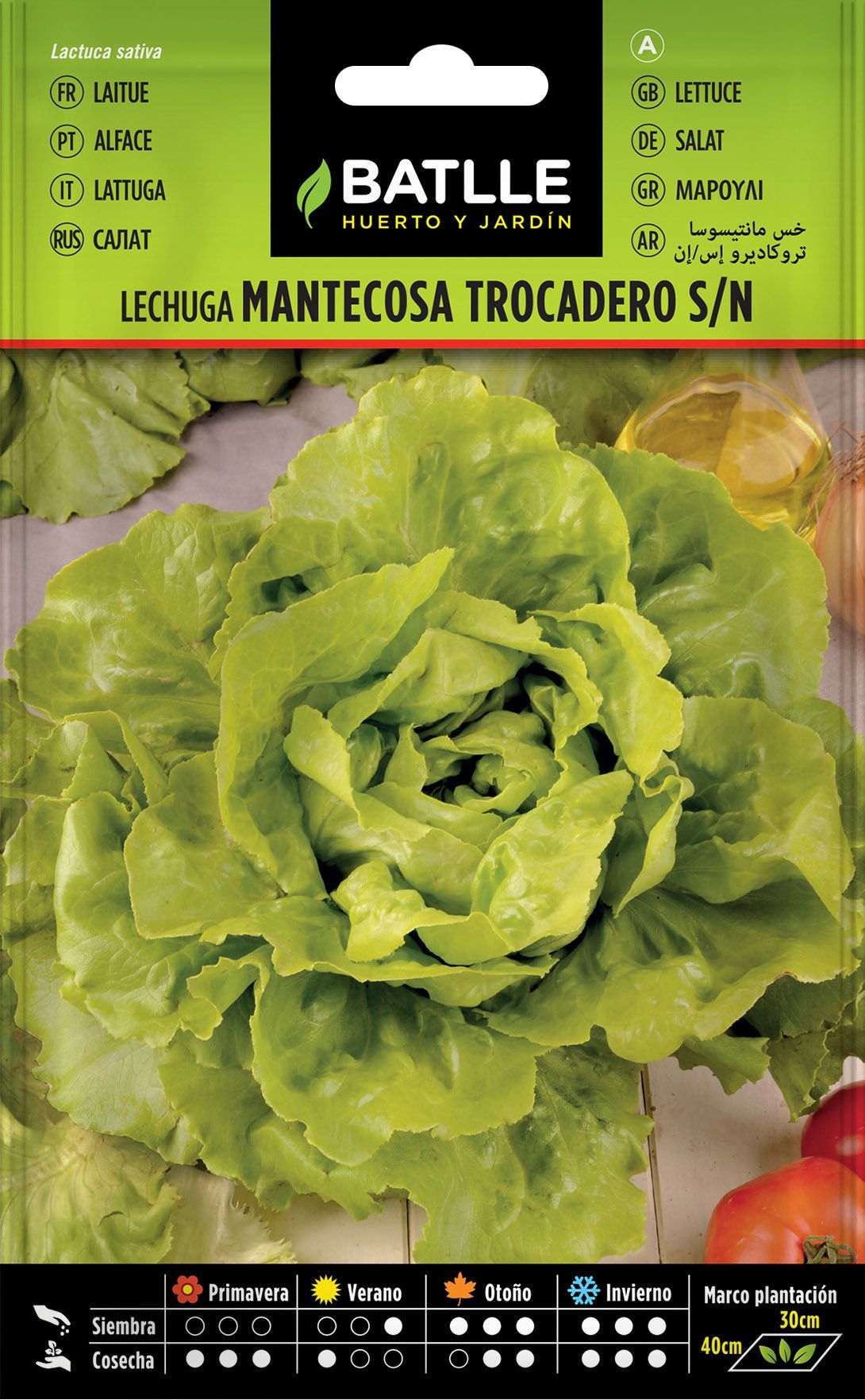 Semilla hortícola de lechuga trocadero s/n, alface