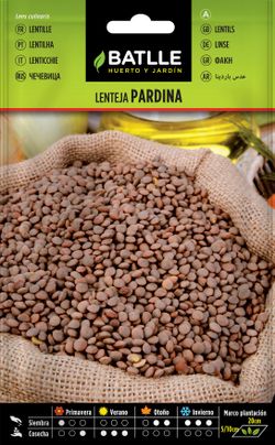 Semilla hortícola de lenteja pardina