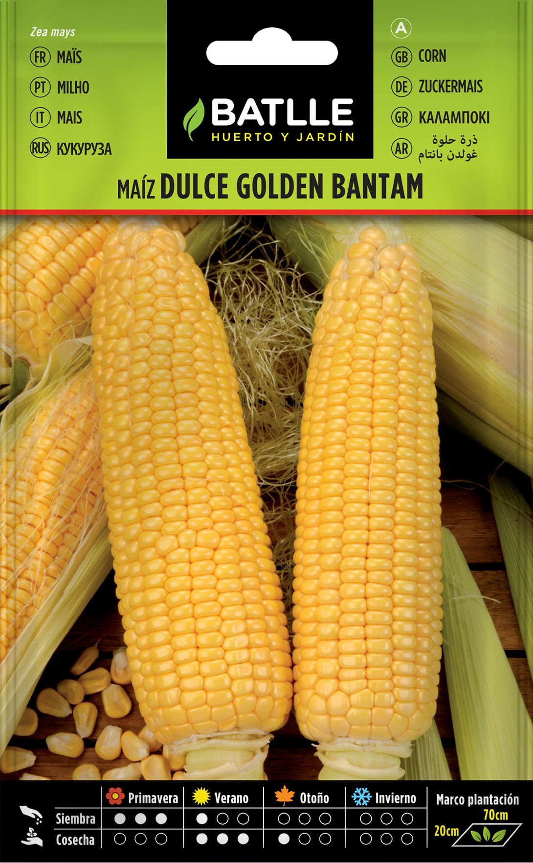 Semilla hortícola de maíz dulce golden bantam, milho doce, zea mays