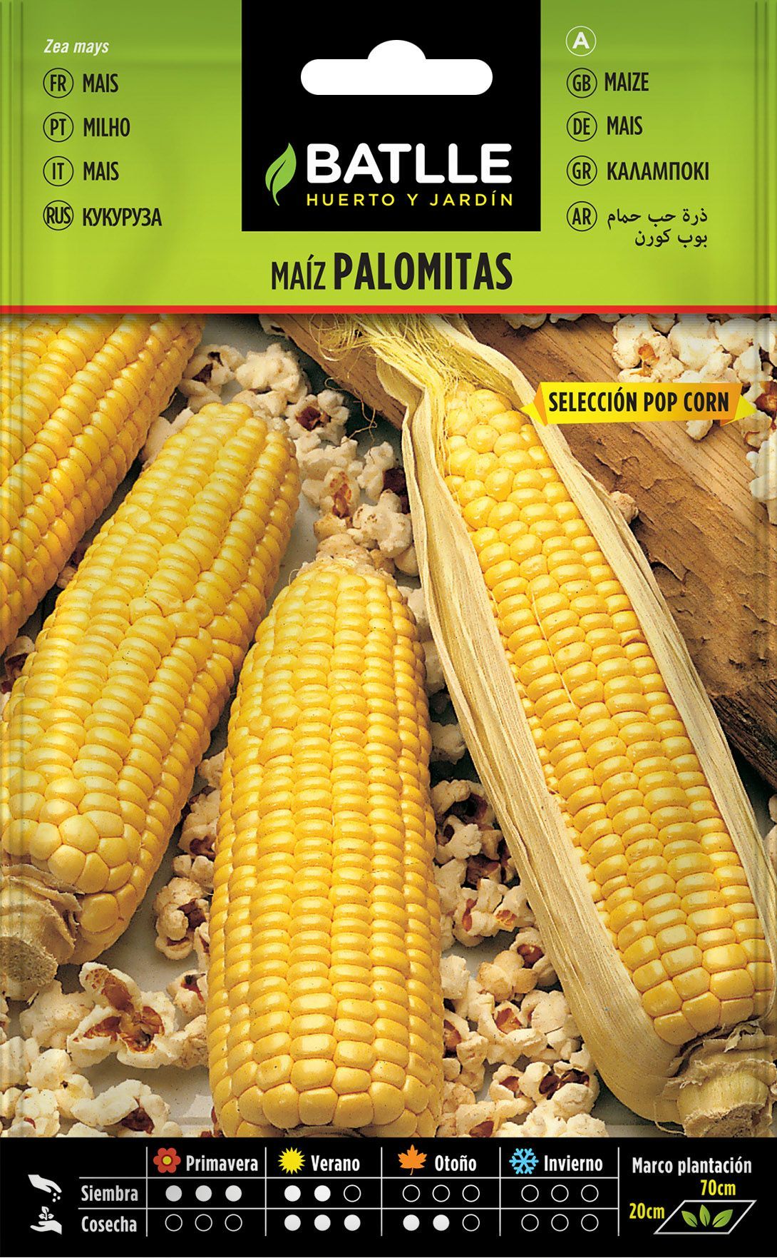 Semilla hortícola de maíz palomitas sel. pop corn, milho de picocas, zea mays