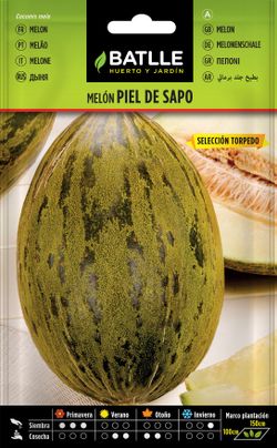 Semilla hortícola de melón piel de sapo sel. torpedo, melao, cucumis melo