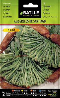 Semilla hortícola de nabo grelos de Santiago, brassica rapa l.