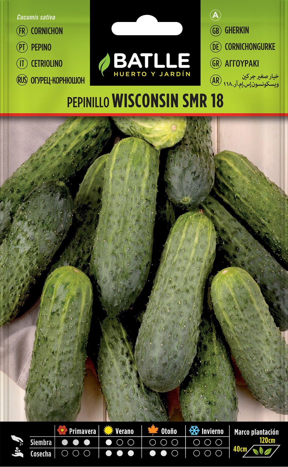Semilla hortícola de pepinillo wisconsin smr 18, pepino, cucumis sativus