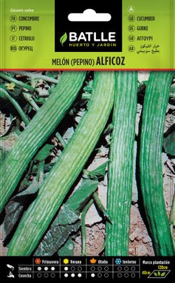 Semilla hortícola de pepino alficoz
