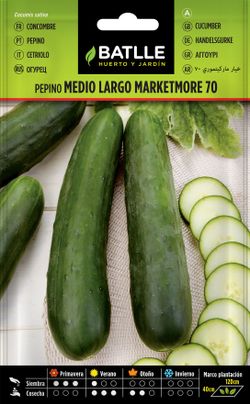 Semilla hortícola de pepino medio largo marketmore 70, cucumis sativus
