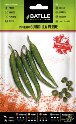 Semilla hortícola de pimiento guindilla verde picante, pimento, capsicum annuum