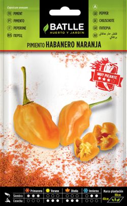 Semilla hortícola de pimiento habanero naranja