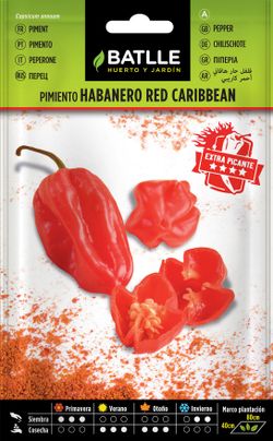 Semilla hortícola de pimiento habanero red caribean