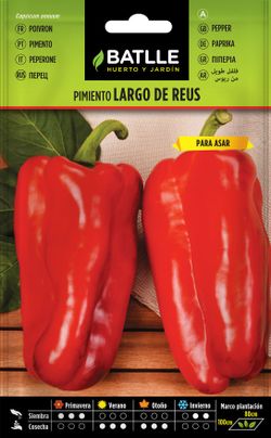 Semilla hortícola de pimiento rojo largo de reus para asar, pimento comprido