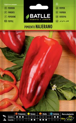 Semilla hortícola de pimiento rojo najerano, pimento vermelho, capsicum annuum