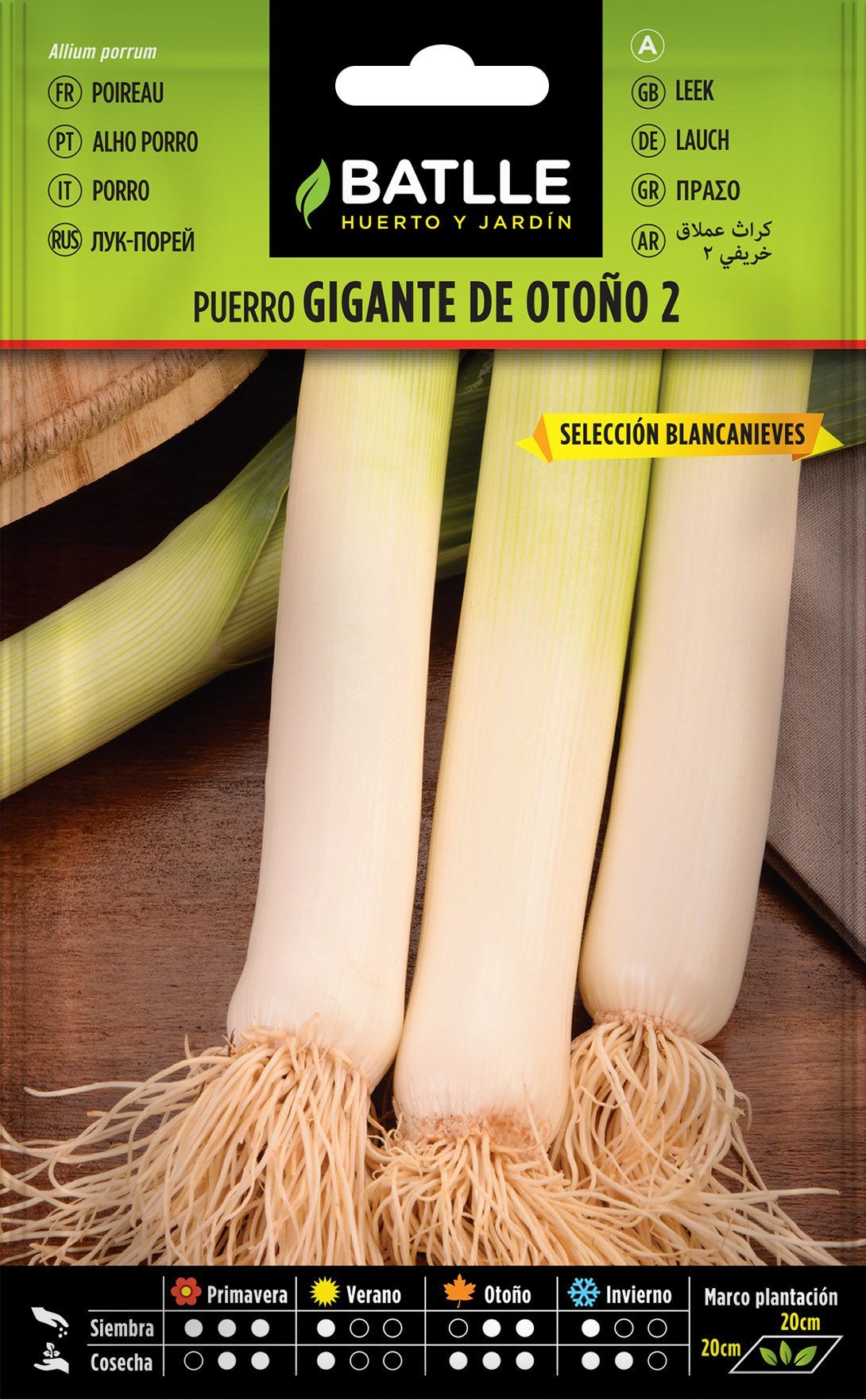 Semilla hortícola de puerro gigante otoño 2 sel. blancanieves, alho porro, allium porrum