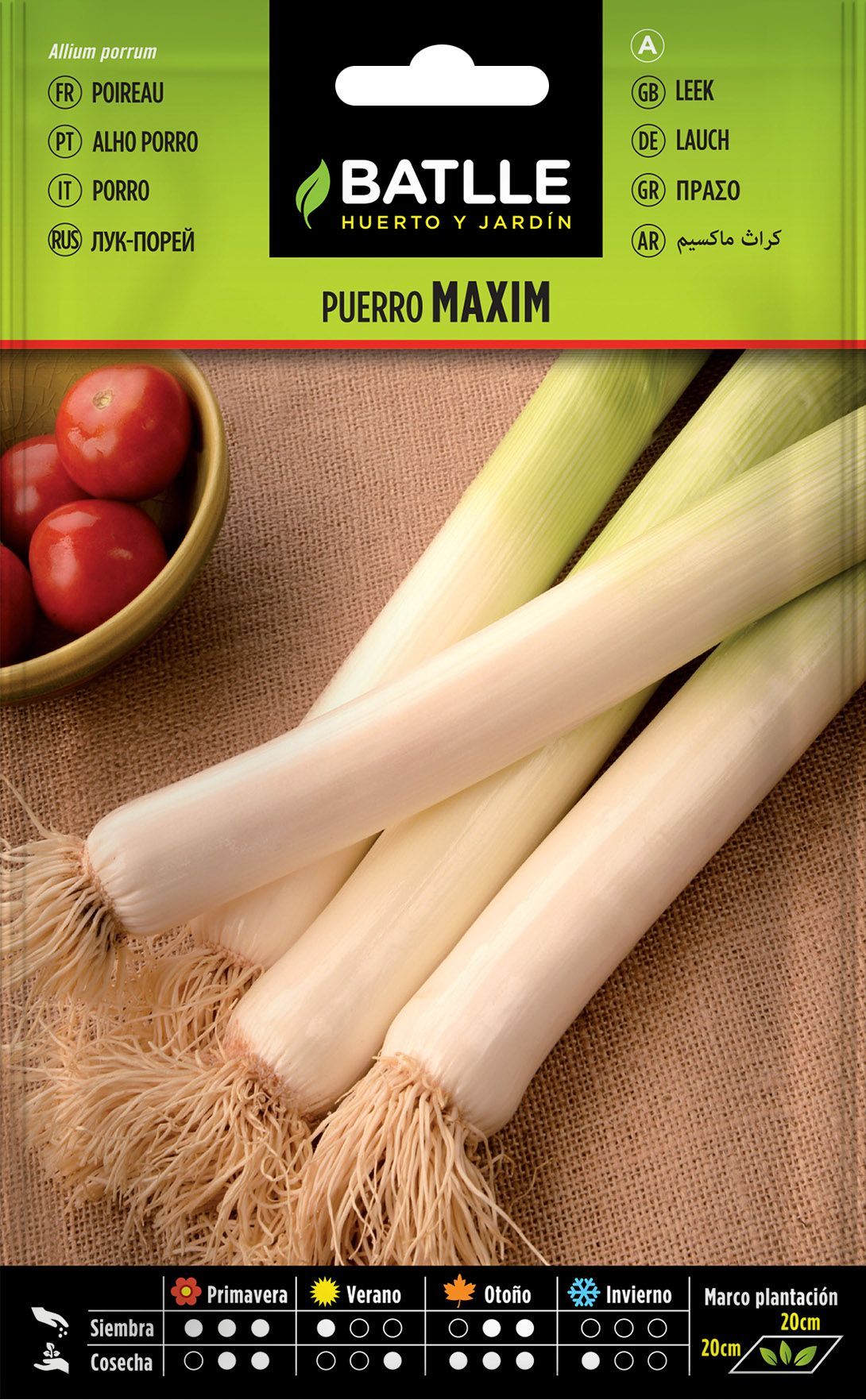 Semilla hortícola de puerro maxim, alho porro, allium porrum