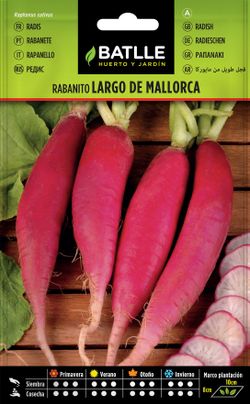 Semilla hortícola de rabanito largo de Mallorca, rabanete, raphanus sativus
