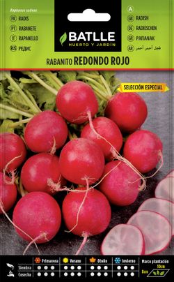 Semilla hortícola de rabanito redondo rojo sel. especial, rabanete, raphanus sativus