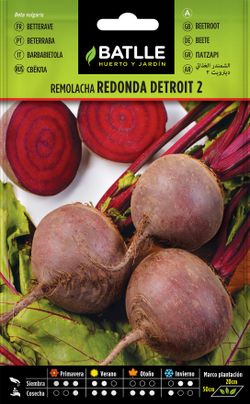 Semilla hortícola de remolacha de mesa detroit 2, beterraba, beta vulgaris