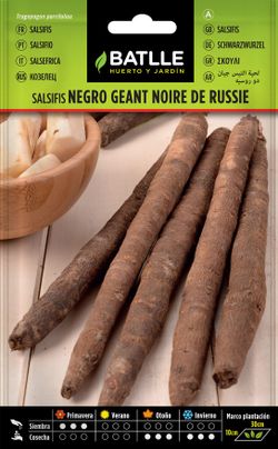 Semilla hortícola de salsifis negro geant noire de russie, escorcioneira, tragopogon porrifolius
