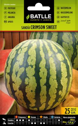 Semilla hortícola de sandía crimson sweet, melancia, citrullus lanatus