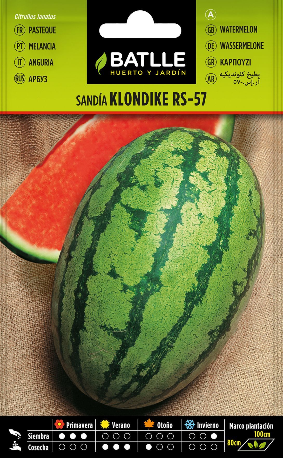 Semilla hortícola de sandía klondike rs-57