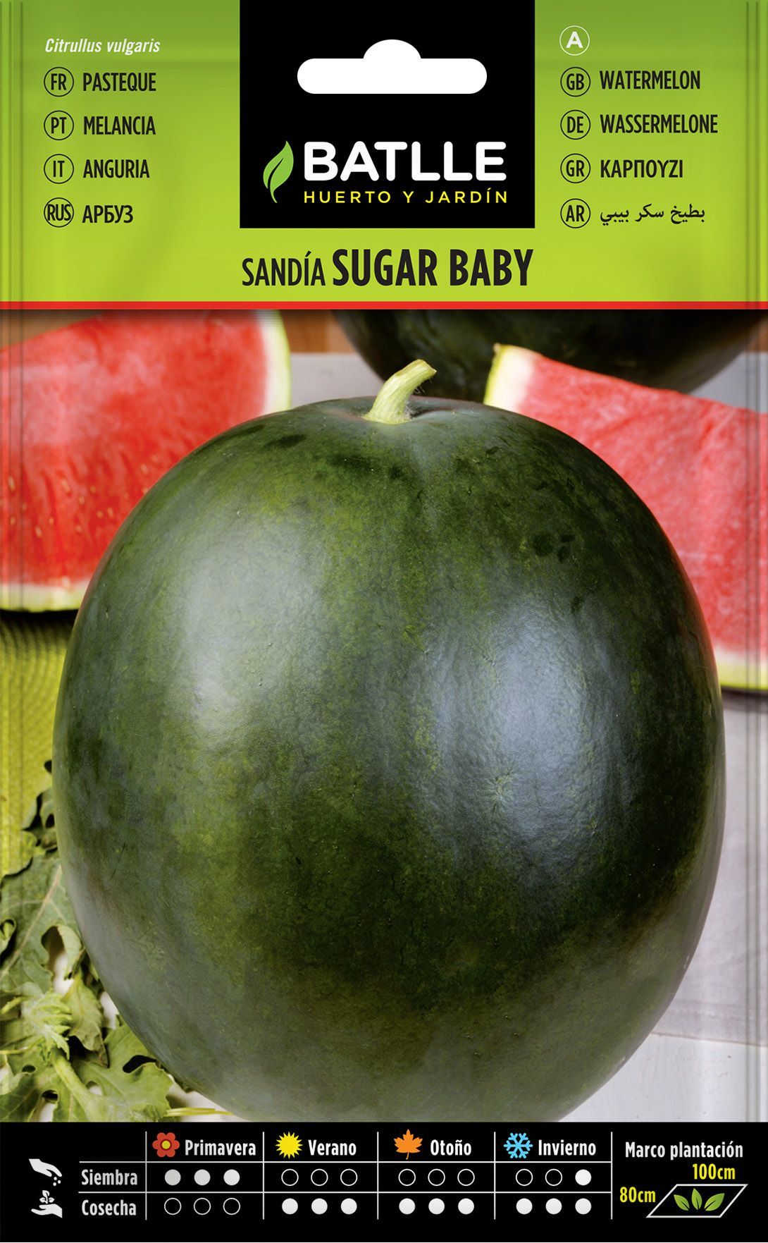 Semilla hortícola de sandia sugar baby, melancia
