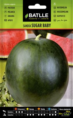 Semilla hortícola de sandia sugar baby, melancia