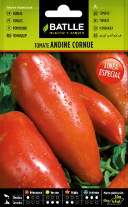 Semilla hortícola de tomate andine cornue de los andes