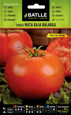 Semilla hortícola de tomate balarga