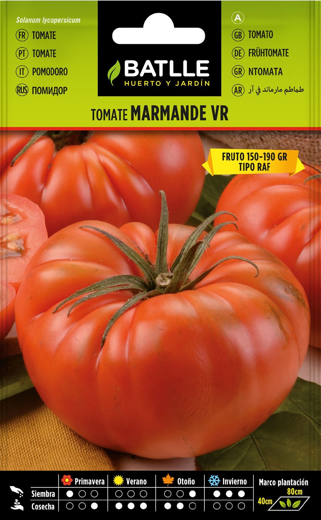 Semilla hortícola de tomate marmande vr tipo Holanda, tipo raf