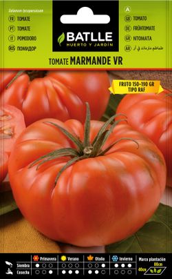 Semilla hortícola de tomate marmande vr tipo Holanda, tipo raf