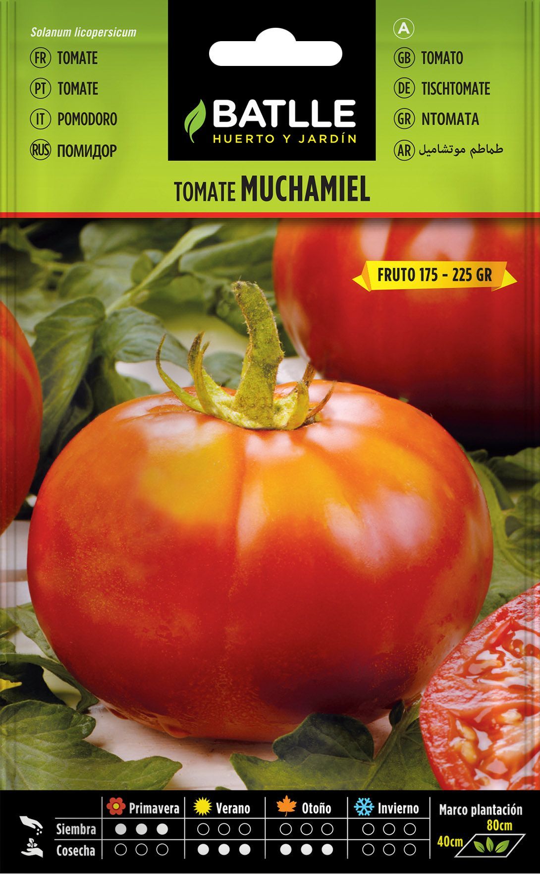 Semilla hortícola de tomate muchamiel, lycopersicon