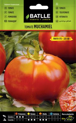 Semilla hortícola de tomate muchamiel, lycopersicon
