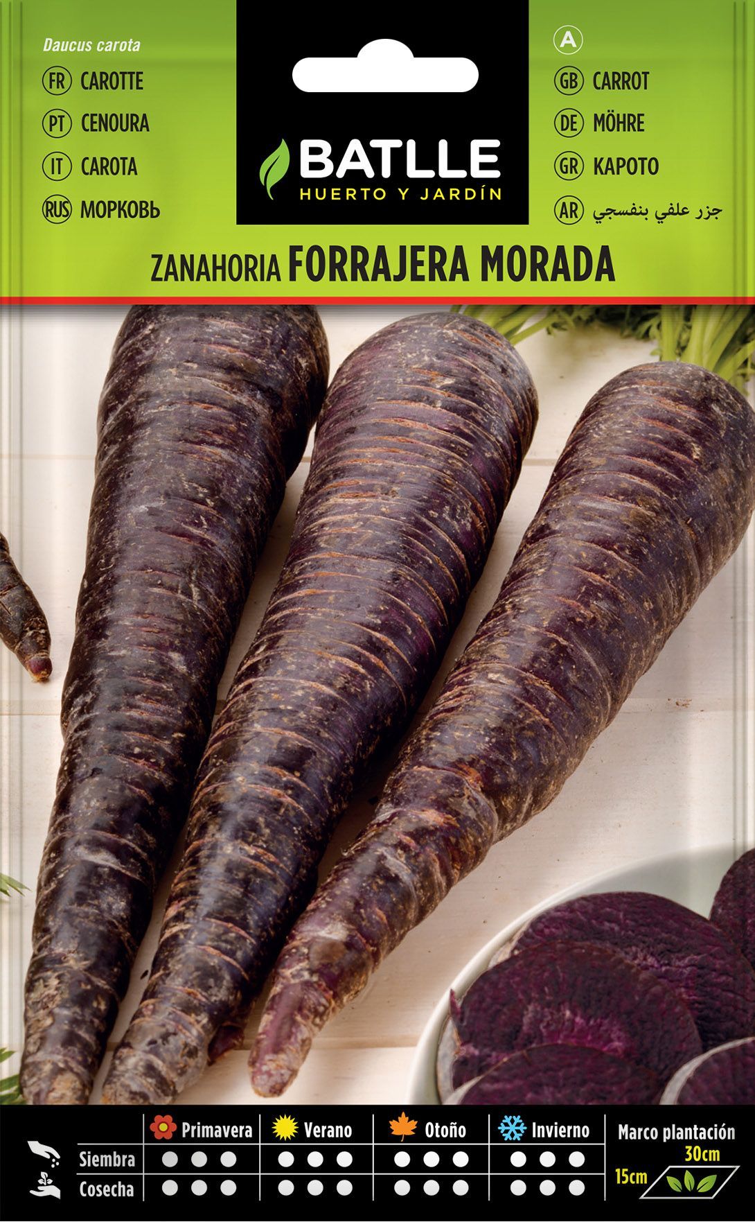 Semilla hortícola de zanahoria morada, cenoura roxa, daucus carota