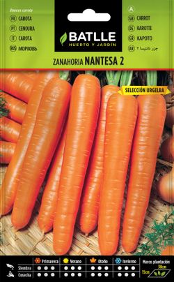 Semilla hortícola de zanahoria nantesa 2 sel. urgelba, cenoura, daucus carota