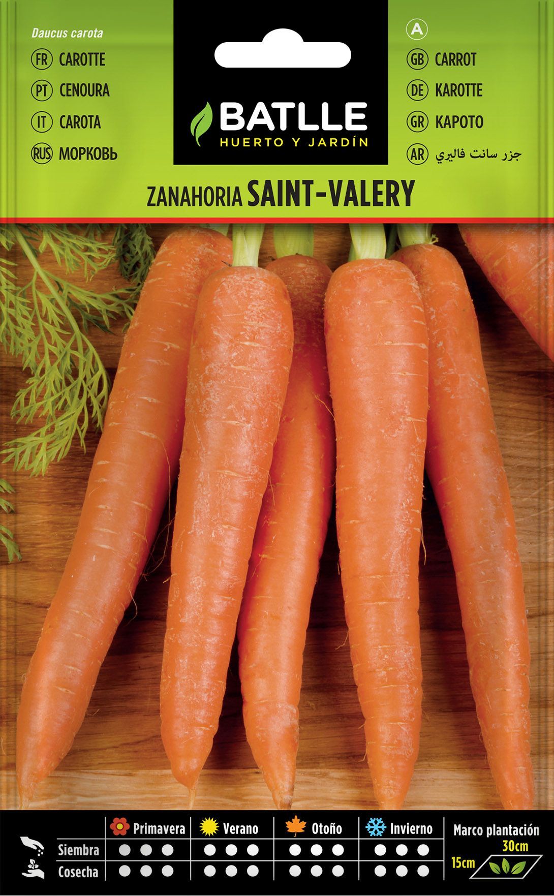 Semilla hortícola de zanahoria saint valery, cenoura, daucus carota