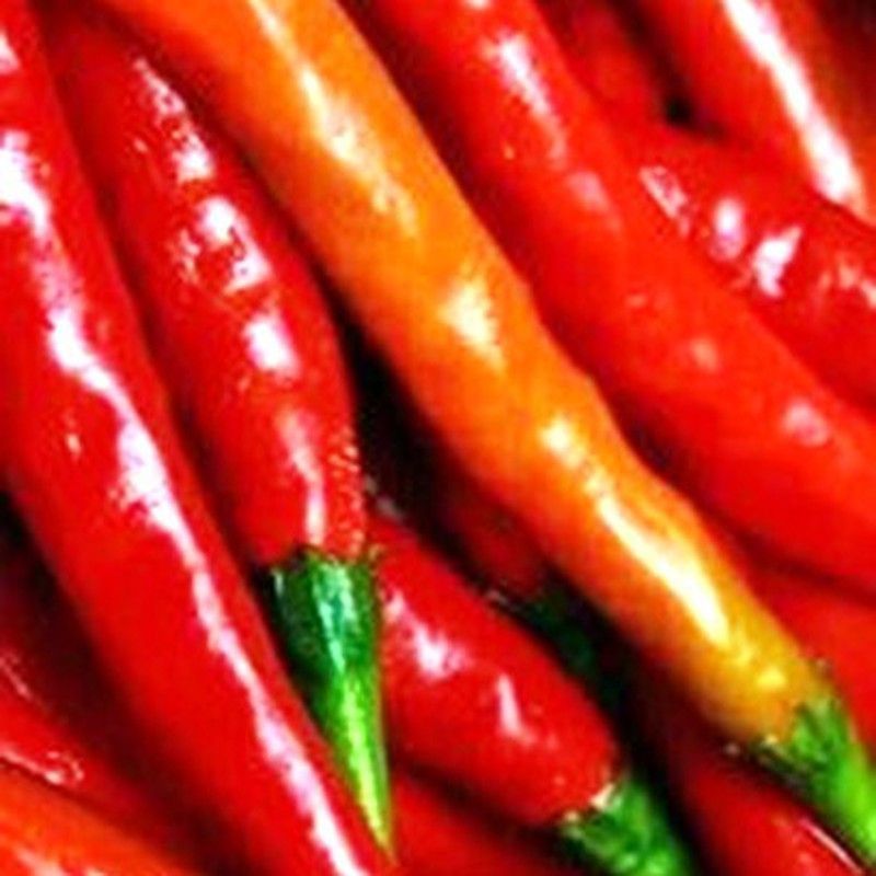 Semillas Cayena Roja Long Slim