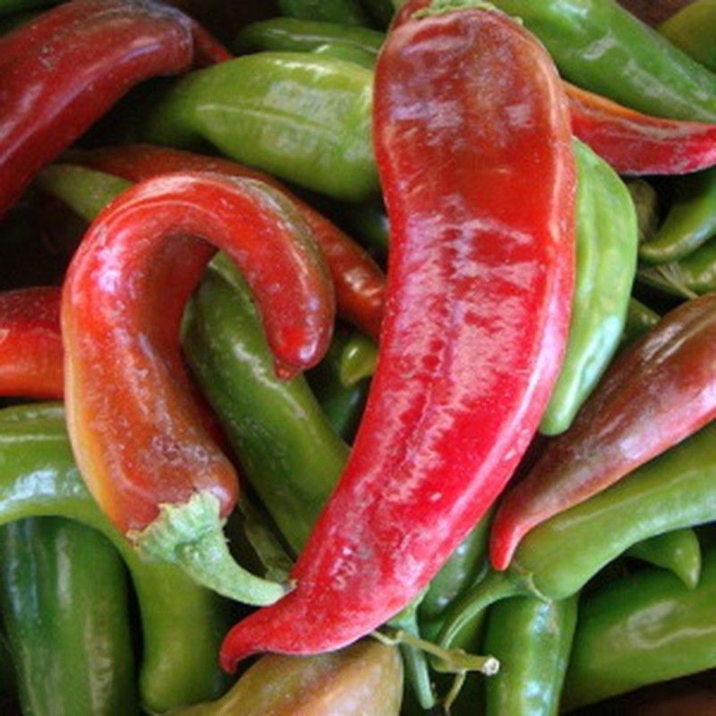 Semillas Chile Anaheim