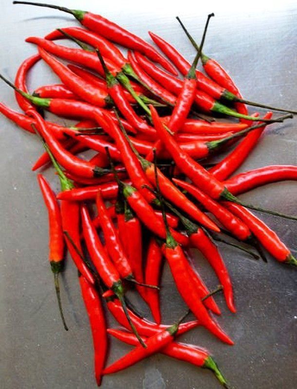 Semillas Chile Red Rawit