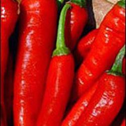 Semillas Chile Serrano