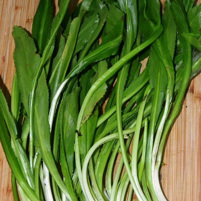 Semillas Culantro Mexicano o Tailandés