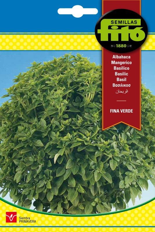 Semillas de Albahaca Fina Verde de marca Fito