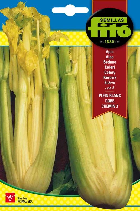 Semillas de Apio Plein Blanc Dore Chemin 3 de marca Fito