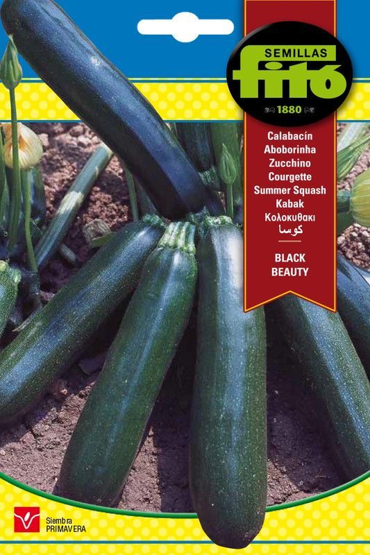 Semillas de Calabacín Black Beauty de marca Fito