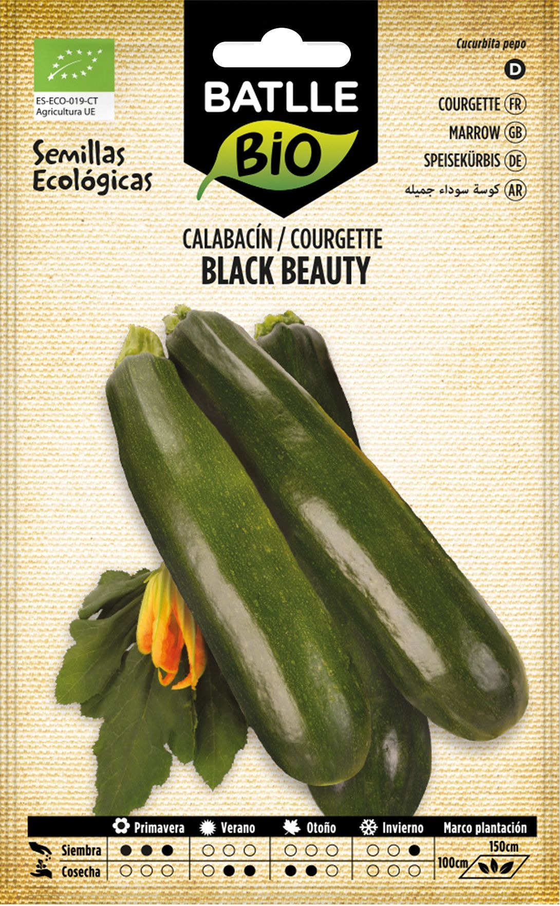 Semillas de calabacín ecológico black beauty
