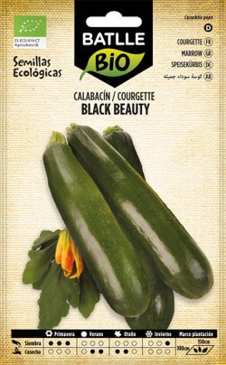 Semillas de calabacín ecológico black beauty