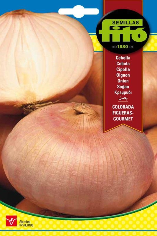 Semillas de Cebolla Colorada Figueras - Gourmet de marca Fito