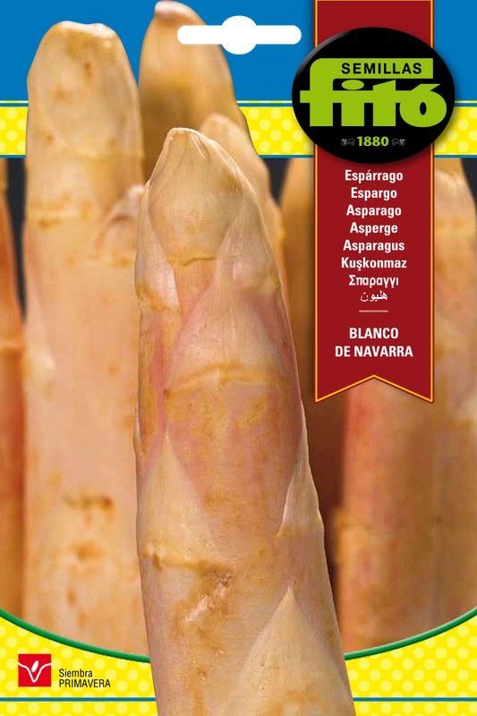 Semillas de Espárrago Blanco de Navarra de marca Fito