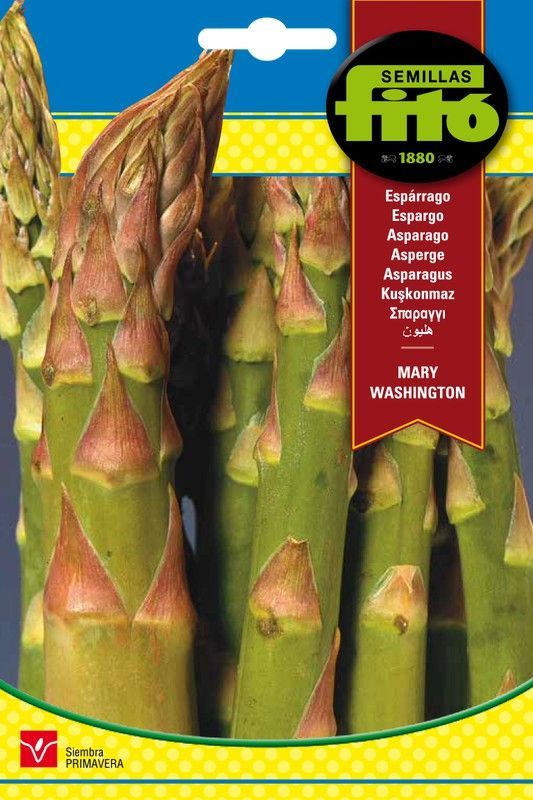 Semillas de Espárrago Mary Washington de marca Fito