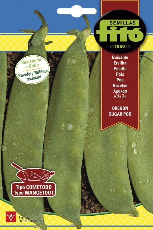 Semillas de Guisante Oregon Sugar Pod de marca Fito