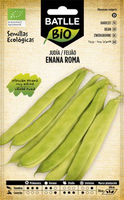 Semillas de judía ecológica enana roma 2